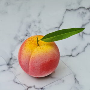 Entremet pêche