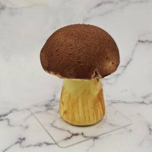 Champignon poires et chocolat