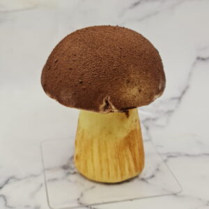 Champignon poires et chocolat