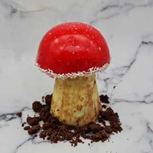 Champignon fruits rouges et noix de coco