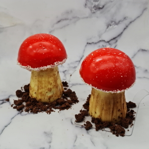 Champignon fruits rouges et noix de coco