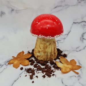 Champignon fruits rouges et noix de coco