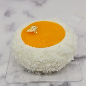 Entremet mangue coco