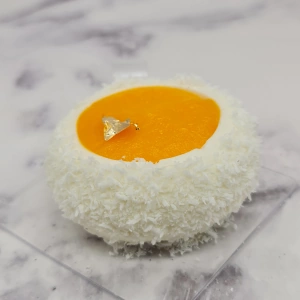 Entremet mangue coco