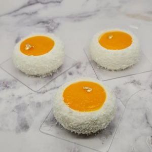 Entremet mangue coco