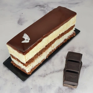 Gâteau chocolat et coco