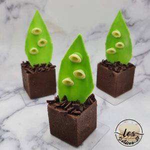 Entremet muguet vanille, noisette et chocolat