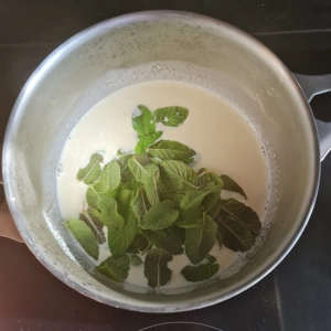 Gâteau menthe chocolat