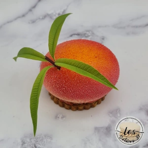 Entremet abricot et romarin