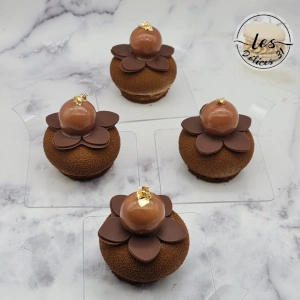 Entremet noisette