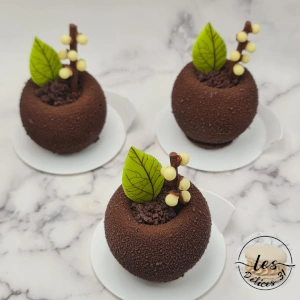 Entremet 1er mai