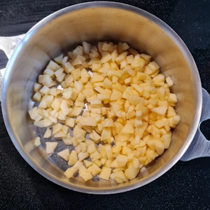 Entremet pomme
