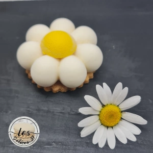 Entremet pêche