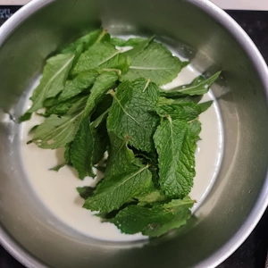Entremet menthe framboise