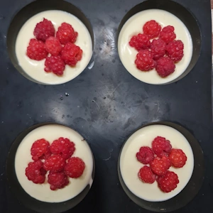 Entremet menthe framboise