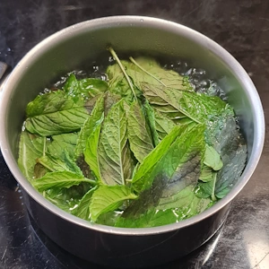 Entremet menthe chocolat