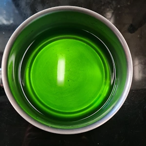 Entremet menthe chocolat