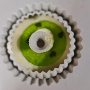 Entremet menthe chocolat