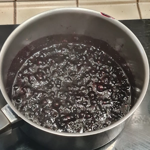 Entremet myrtilles