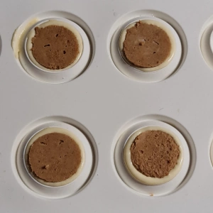 Entremet pêche et spéculoos