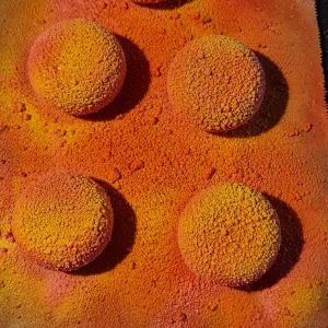 Entremet pêche et spéculoos