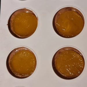 Entremet chocolat orange