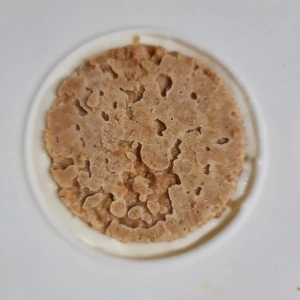 Entremet poire praliné