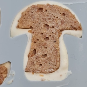 Champignon vanille noisette