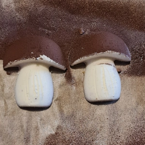 Champignon vanille noisette