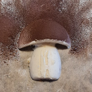 Champignon vanille noisette