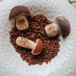 Champignon vanille noisette