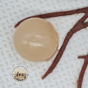 Entremet poire et marron