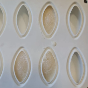 Entremet poire caramel