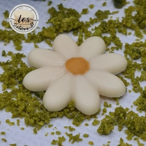 Trèfle pistache framboise