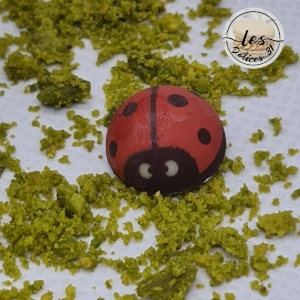 Trèfle pistache framboise