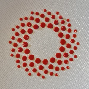 Entremet framboise et papillon