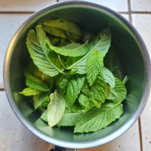 Entremet menthe chocolat