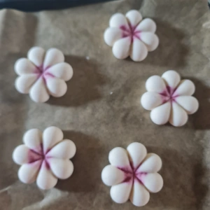 Fleur pêche framboise