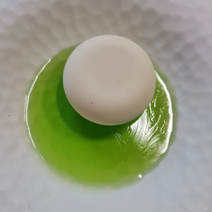 Entremet menthe cacao