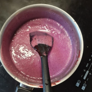 Panna cotta myrtille