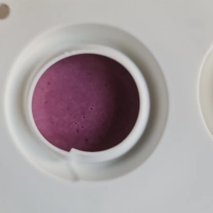 Panna cotta myrtille